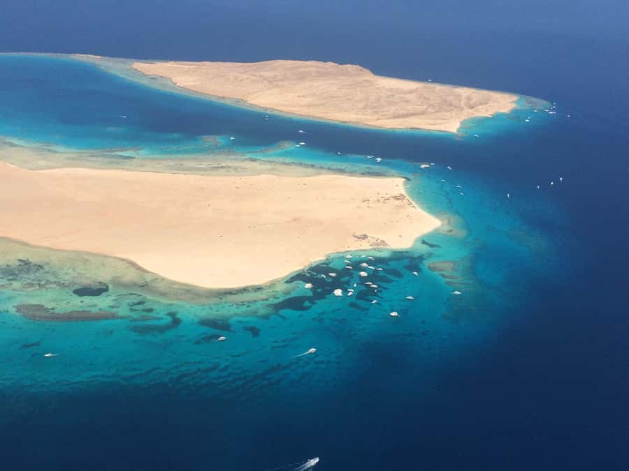 Hurghada: Snorkelling Trip by Speedboat with Hotel Pickup - Dolphins are a bonus, not the main promise