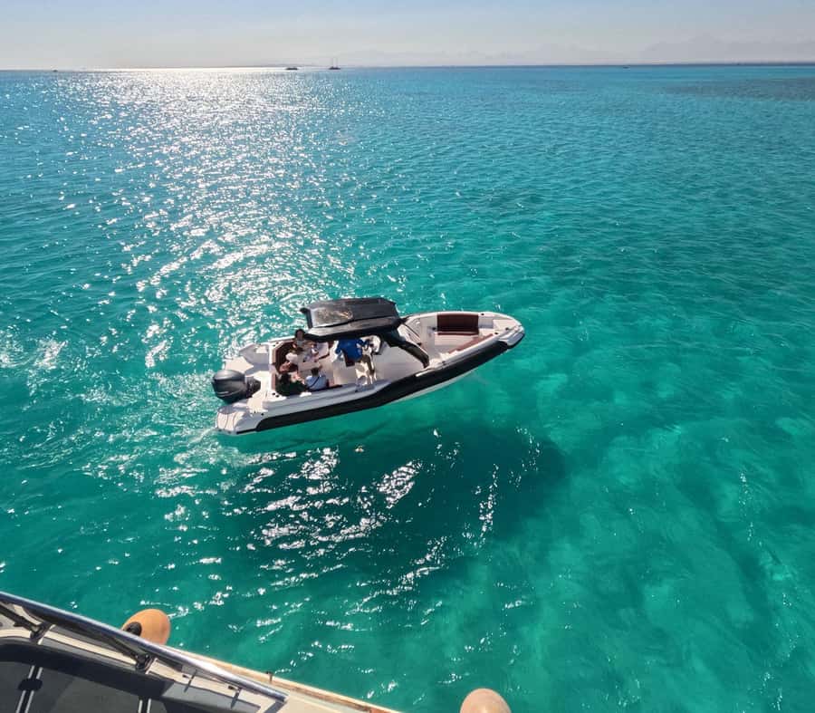 Hurghada: Speedboat Dolphin Watching & Snorkeling with Lunch - Why this Hurghada boat trip works so well