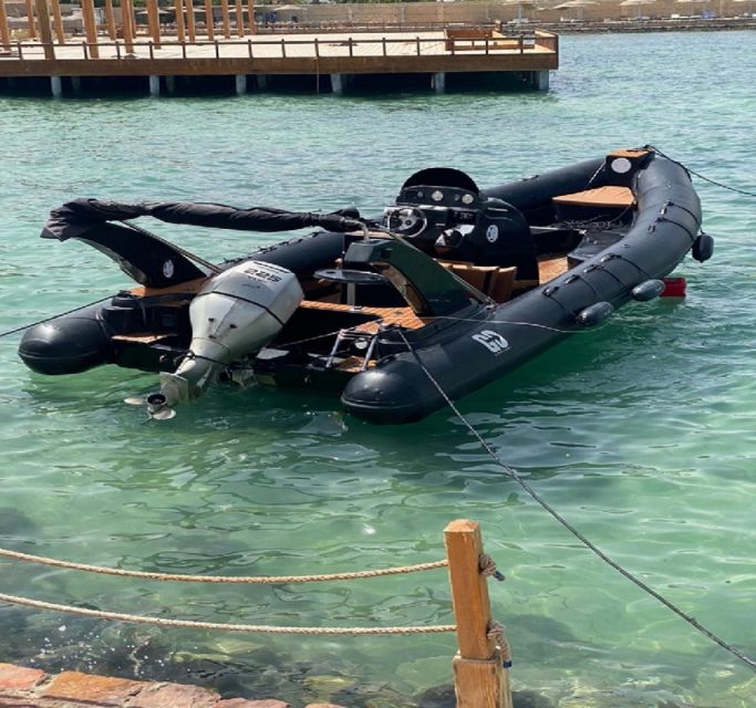 Hurghada: Speedboat Dolphin Watching & Snorkeling with Lunch - What the $40 price really includes