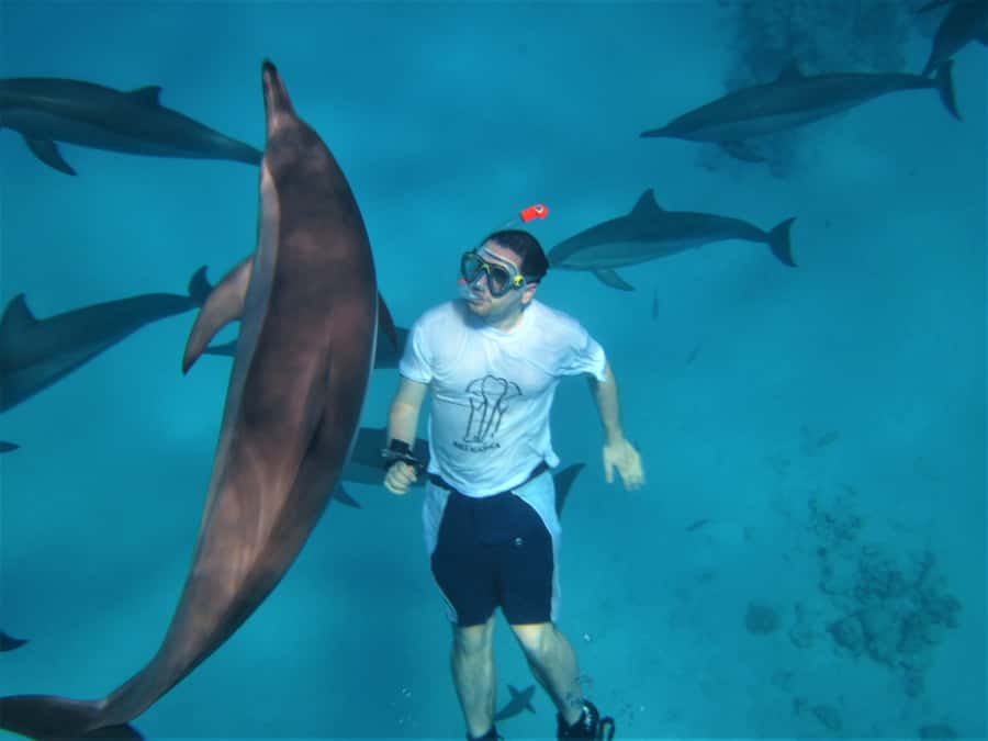 Hurghada: Speedboat Dolphin Watching & Snorkeling with Lunch - The ride out from Hurghada