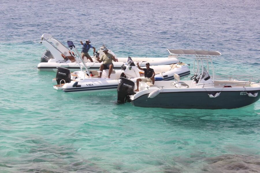 Hurghada: Speedboat Parasailing Adventures & Hotel Pick up - Who will enjoy this outing most