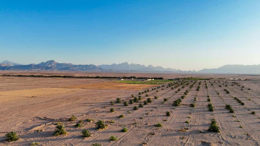 Hurghada: Star Stargazing Desert Adventure by Jeep & Dinner - The Sky Show After Dark
