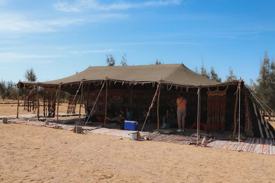 Hurghada: Sunset Camel Ride with Dinner - What the $52 price buys you