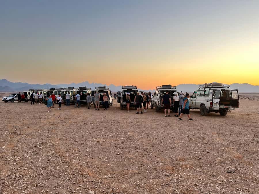 Hurghada: Sunset Camel Ride with Dinner - Should you book the Hurghada sunset camel ride?