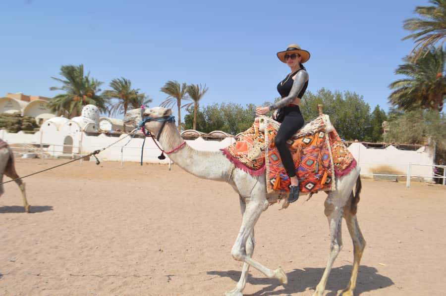 Hurghada: Sunset Quad Bike, Camel w/ Opt Stargazing and BBQ - Who will enjoy this most