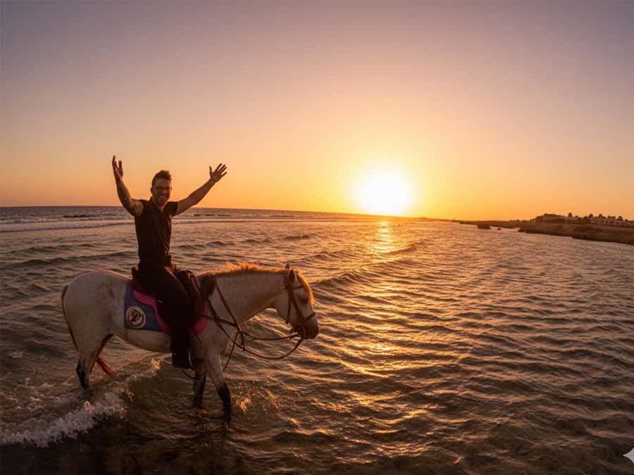Hurghada: Sunset Sea, Desert Horse W Opt, Dinner, Stargazing - Key points to know before booking