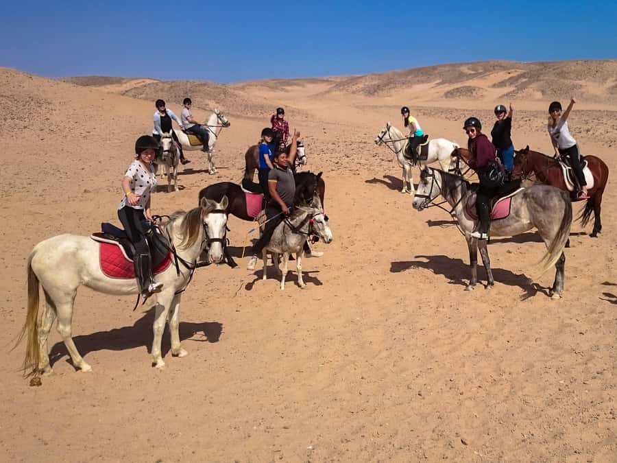 Hurghada: Sunset Sea, Desert Horse W Opt, Dinner, Stargazing - Should you book the Hurghada sunset horse ride?
