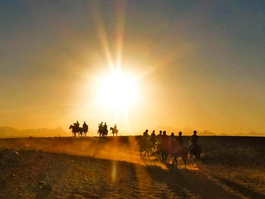 Hurghada: Sunset Sea, Desert Horse W Opt, Dinner, Stargazing - A sunset ride between Hurghada’s desert and the Red Sea
