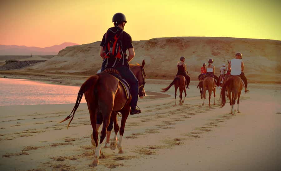 Hurghada: Sunset Sea, Desert Horse W Opt, Dinner, Stargazing - Choosing sunset, sunrise, or a longer VIP ride