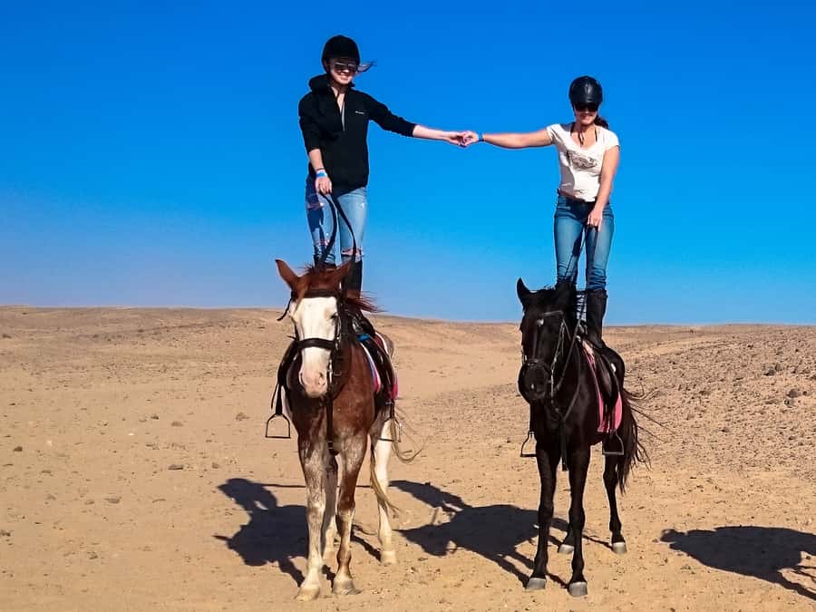 Hurghada: Sunset Sea, Desert Horse W Opt, Dinner, Stargazing - Dinner, dancing, and stargazing after dark