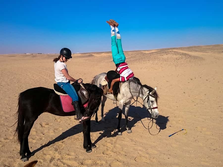 Hurghada: Sunset Sea, Desert Horse W Opt, Dinner, Stargazing - Who will enjoy this ride most