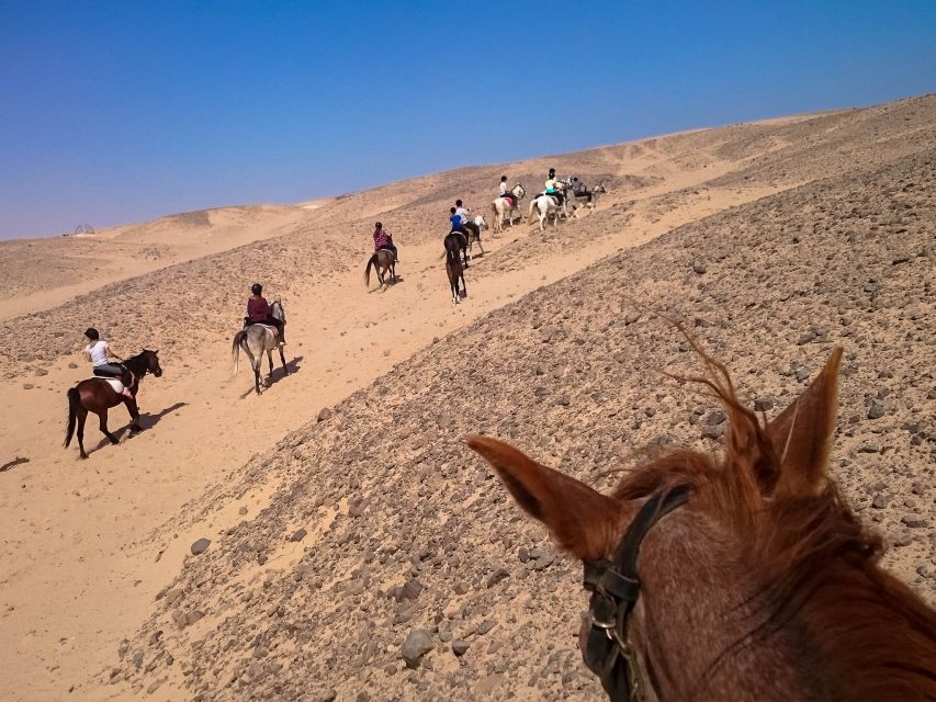 Hurghada: Sunset Sea, Desert Horse W Opt, Dinner, Stargazing - Practical packing advice for the Red Sea coast