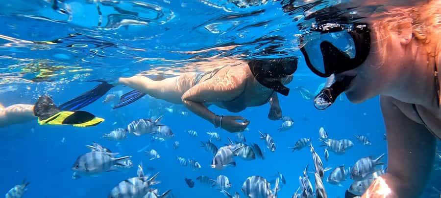 Hurghada: White Island Speedboat Tour, Snorkeling, & Lunch - Why the small group matters