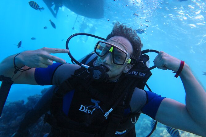 Intro Diving 2 Stops For Beginners with Pick-up and Lunch - Hurghada - First underwater session: getting comfortable below the surface