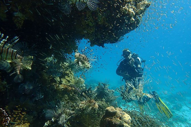 Intro Diving 2 Stops For Beginners with Pick-up and Lunch - Hurghada - Safety, weather, and the limits of the plan