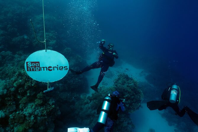 Intro Diving 2 Stops For Beginners with Pick-up and Lunch - Hurghada - Hotel pickup and the start of the morning