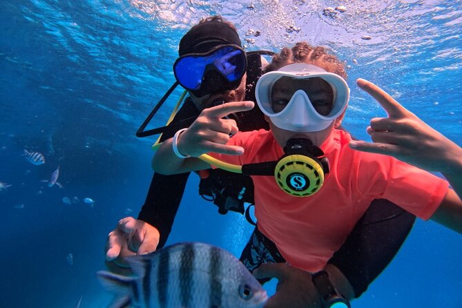 Intro Diving Beginner and Discover Red Sea Underwater - Key points to know before booking