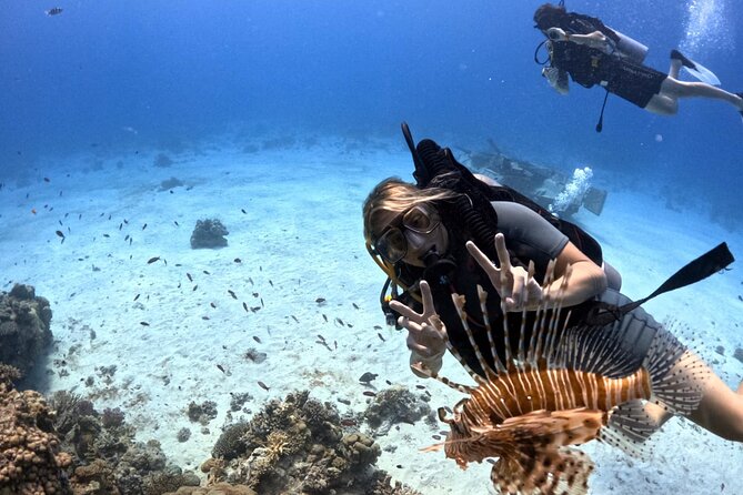Intro Diving Beginner and Discover Red Sea Underwater - Who will enjoy this most