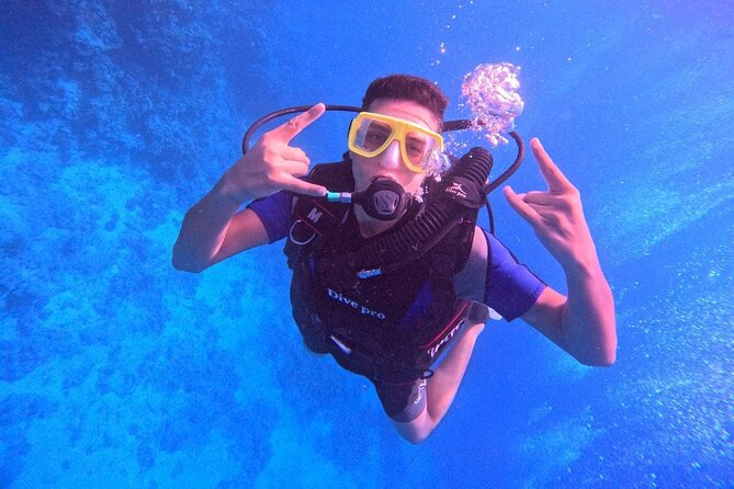Intro Diving Beginner and Discover Red Sea Underwater - Timing, weather, and the practical catches