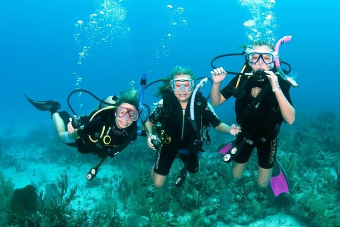 Intro Diving for Beginners 2 Stops Diving with Lunch - Hurghada - What the day is really about