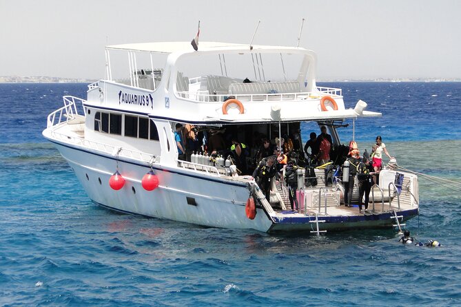 Intro Diving for Beginners 2 Stops Diving with Lunch - Hurghada - The second underwater stop and possible dolphins