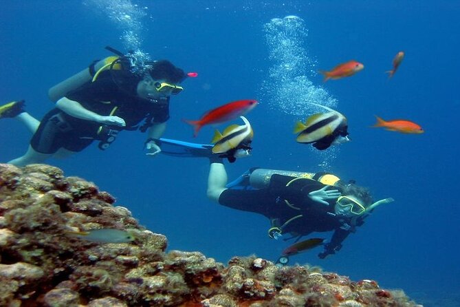 Intro Diving for Beginners 2 Stops Diving with Lunch - Hurghada - The third stop and the shipwreck