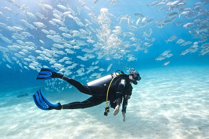 Intro Diving for Beginners 2 Stops Diving with Lunch - Hurghada - Who will get the most from this trip