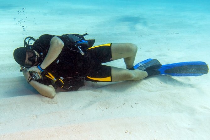 Intro Diving for Beginners 2 Stops Diving with Lunch - Hurghada - The first reef session for beginners