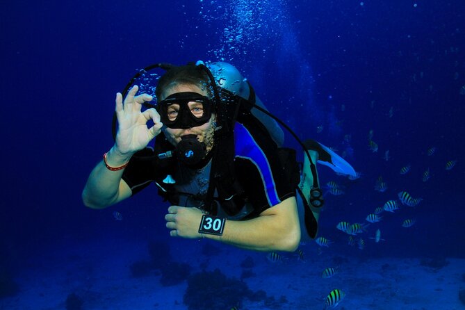 Intro Scuba Diving: 2 Dive Stops With Lunch & transfer - Hurghada - Starting at 8:00 am with hotel pickup