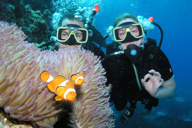 Intro Scuba Diving: 2 Dive Stops With Lunch & transfer - Hurghada - What to expect at the first stop