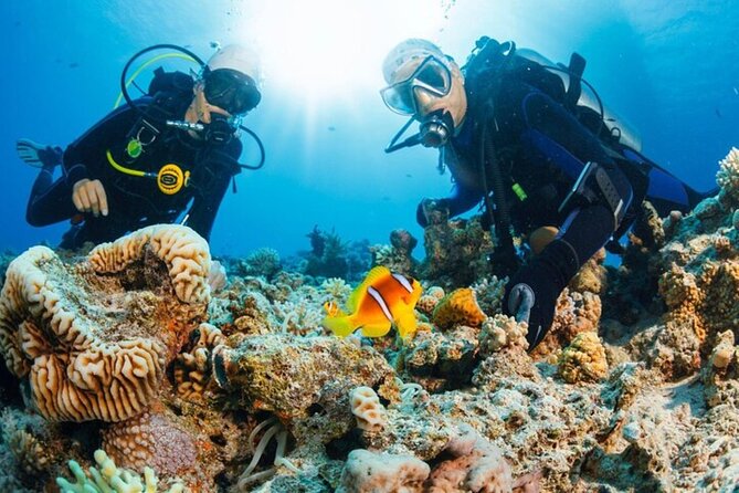 Intro Scuba Diving: 2 Dive Stops With Lunch & transfer - Hurghada - The second stop gives you time to improve