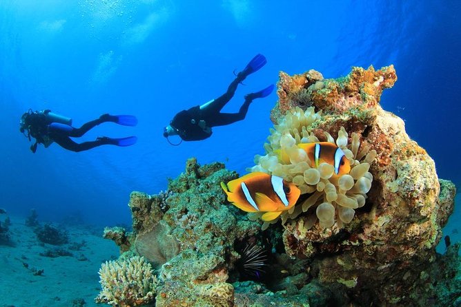 Intro Scuba Diving 2 Stops Trip with Transfers & Lunch - Hurghada - Key points at a glance