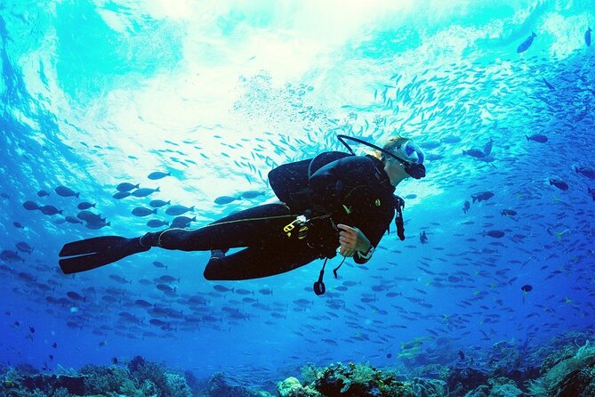 Intro Scuba Diving 2 Stops Trip with Transfers & Lunch - Hurghada - Equipment, hygiene, and safety questions to ask