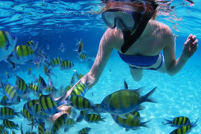 Intro Scuba Diving 2 Stops Trip with Transfers & Lunch - Hurghada - Who will get the most from this boat day