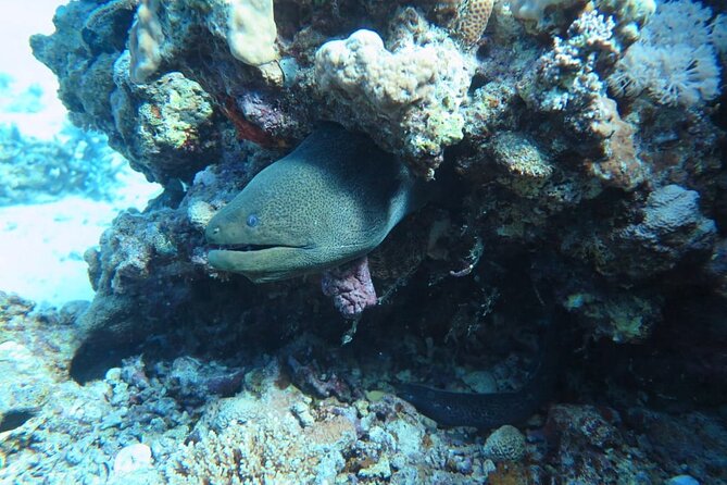 Intro Scuba Diving - Lunch with a long afternoon on the boat