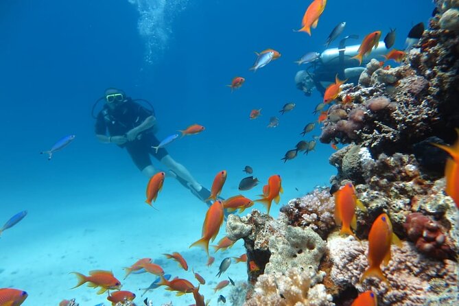 Intro Scuba Diving - The crew, the shore team, and the small details