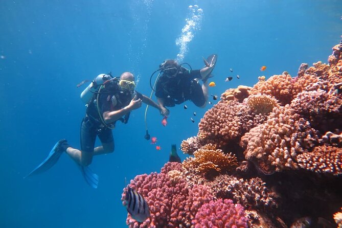 Intro Scuba Diving - Who will enjoy this experience most
