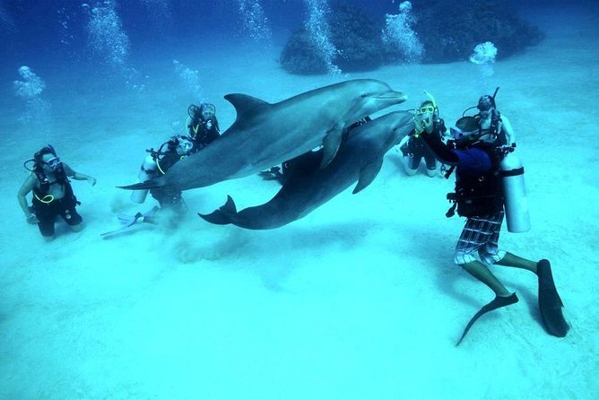 Intro Scuba Diving Beginners Full Day Boat Trip 2 Stops Diving & Lunch– Hurghada - Key points to know before booking