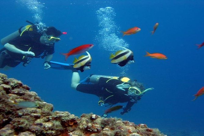 Intro Scuba Diving Beginners Full Day Boat Trip 2 Stops Diving & Lunch– Hurghada - Stop one: a gentle introduction below the surface