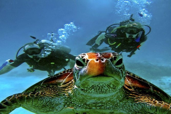 Intro Scuba Diving Beginners Full Day Boat Trip 2 Stops Diving & Lunch– Hurghada - Group size, crew quality, and the human side