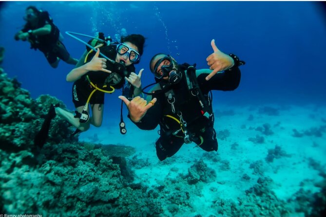 Introduction: Diving from the Reef in Sharm El Sheikh - Meeting your Pyramids Diving Center instructor
