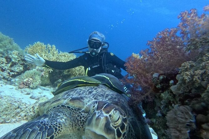 Introduction: Diving from the Reef in Sharm El Sheikh - Who will get the most from this activity