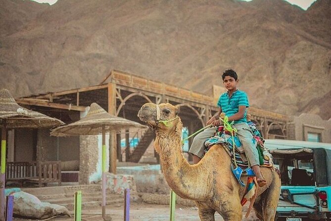 Jeep Safari Salama Colored Canyon from Sharm El-Sheikh - A 15-minute camel ride beside the Red Sea