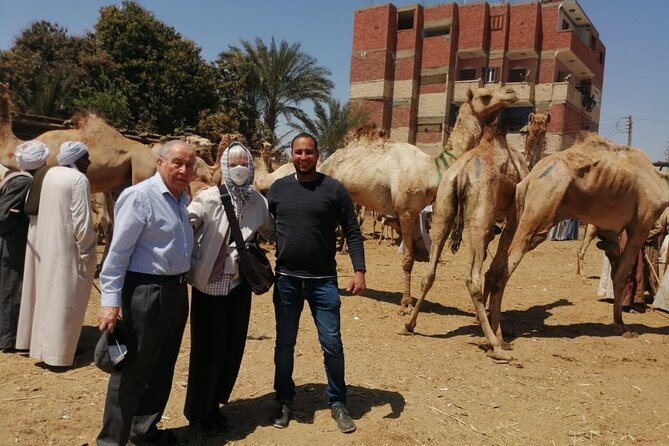 Luxor Airport Private transfer to your hotel or vice versa - My Practical Verdict