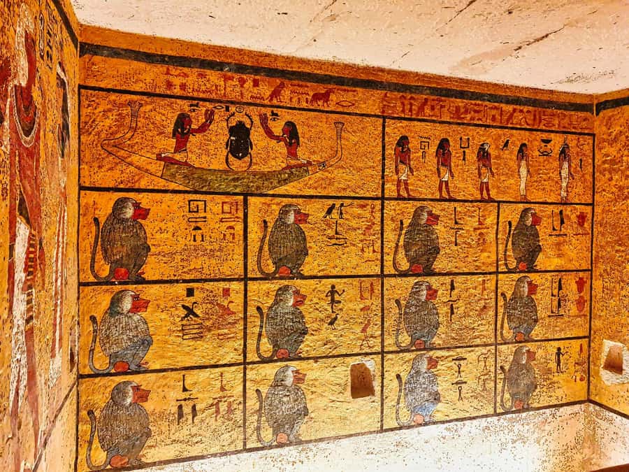 Luxor: All-Inclusive West Bank Tour, Sound & Light Show - Hatshepsut’s Temple and the story of a powerful queen