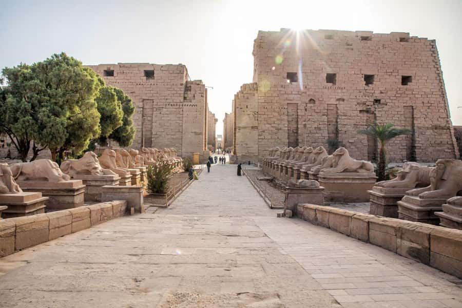 Luxor: East and West Bank Private Full-Day Tour - Lunch, comfort, and the $105 price