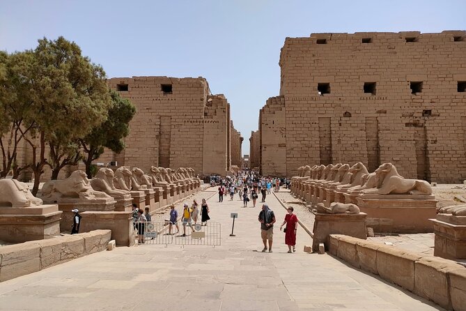 Luxor East Bank: Karnak and Luxor Temples (Private Tour) - Guides and service names to know