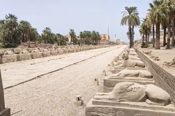 Luxor East Bank: Karnak and Luxor Temples (Private Tour) - Who should book this tour