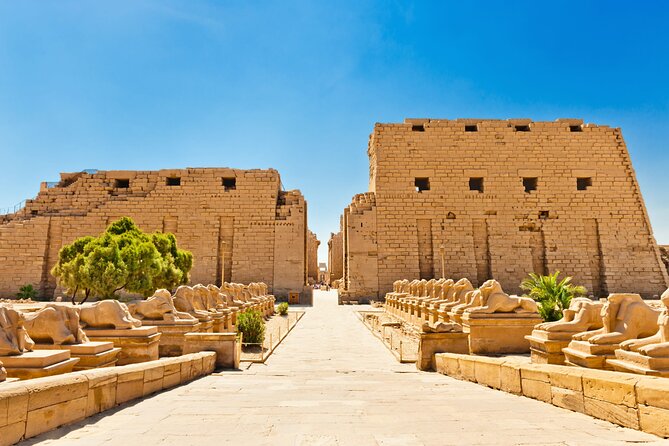 Luxor : Full Day Tour to Luxor West and East Banks & Lunch - What the guide adds to the day