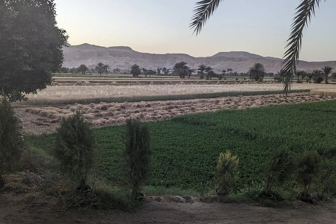 Luxor Half Day tour: Valley of the Kings, Hatshepsut and Memnon - Hatshepsut’s Temple beneath the cliffs